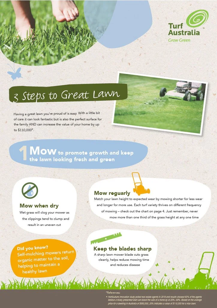 3 Easy Steps to a Great Lawn