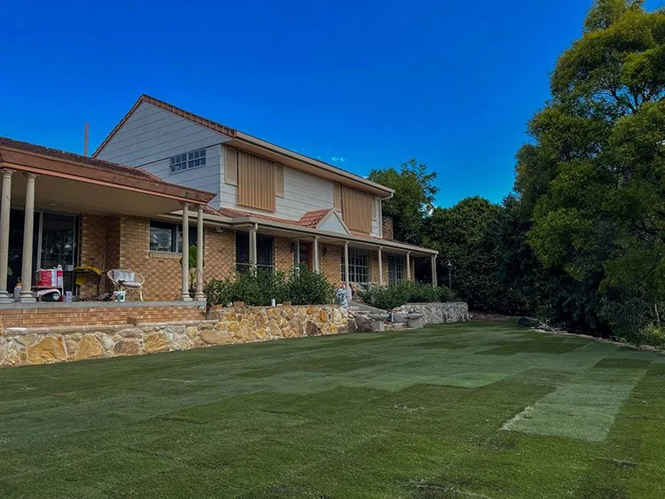 Augusta Zoysia turf just been laid in Mount Ommaney