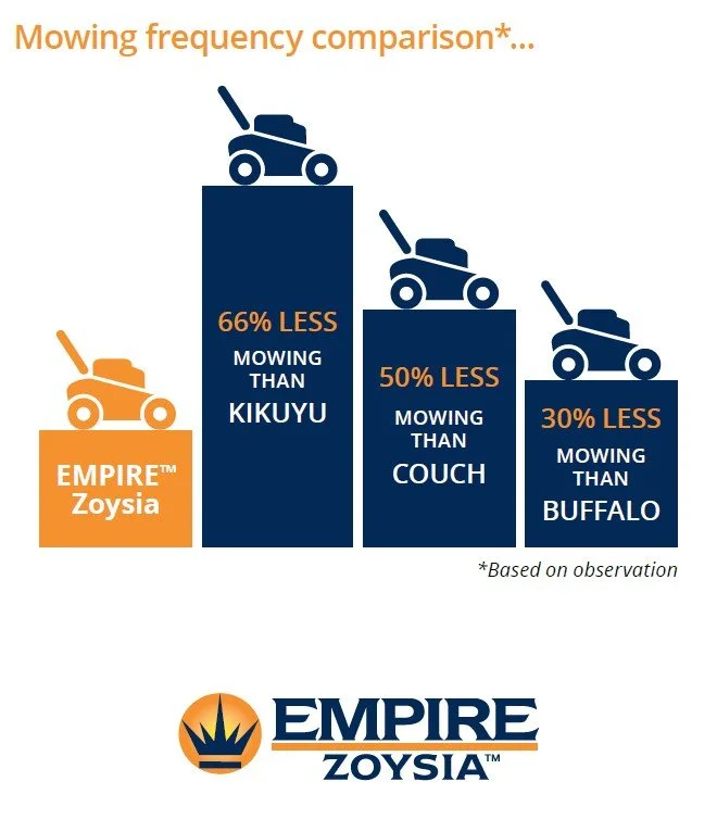 An Empire Zoysia lawn requires 50% less mowing than Couch