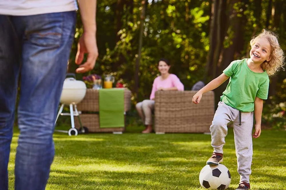 Make sure your lawn is looking great for Spring