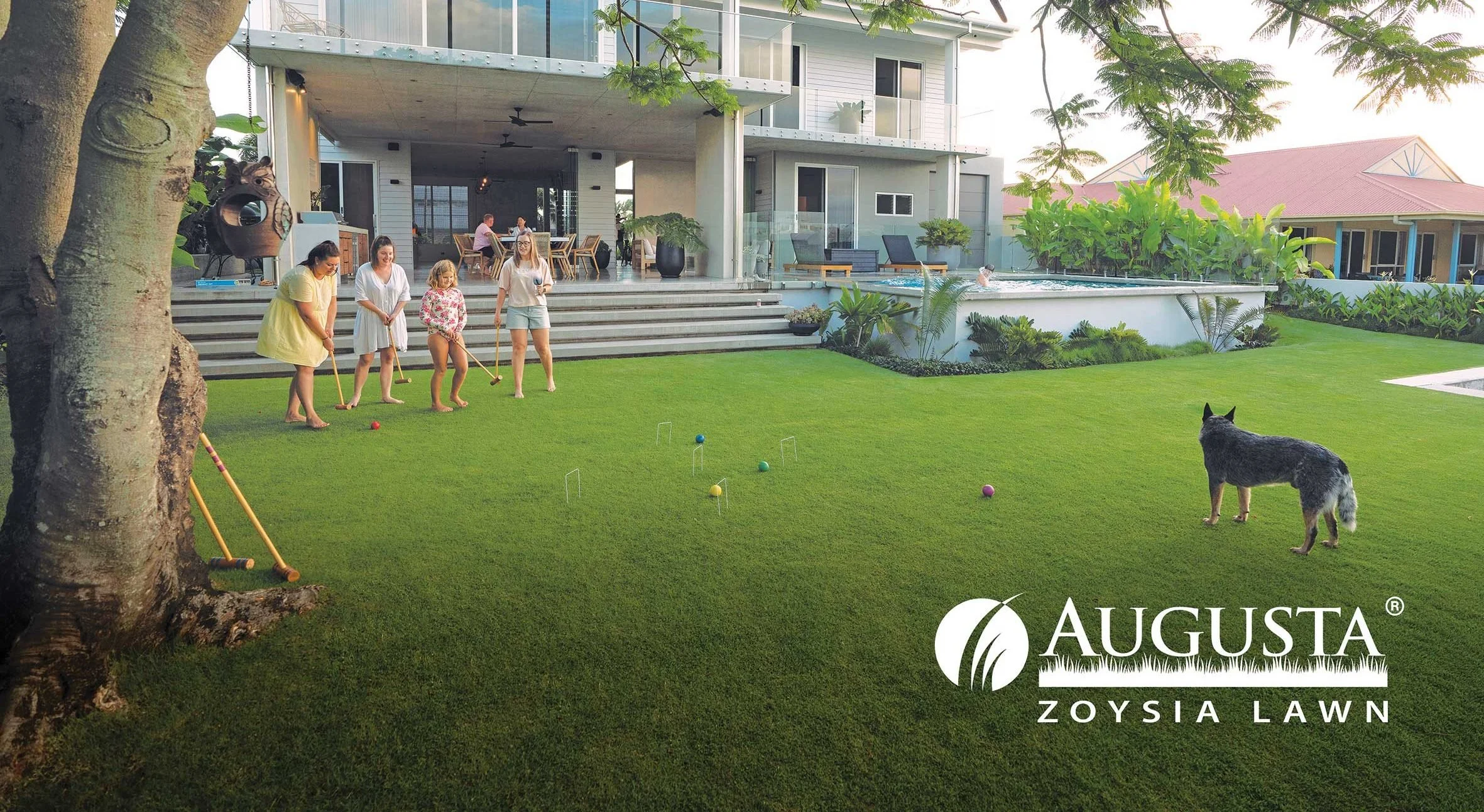 It's Easy To Order Your Dream Lawn