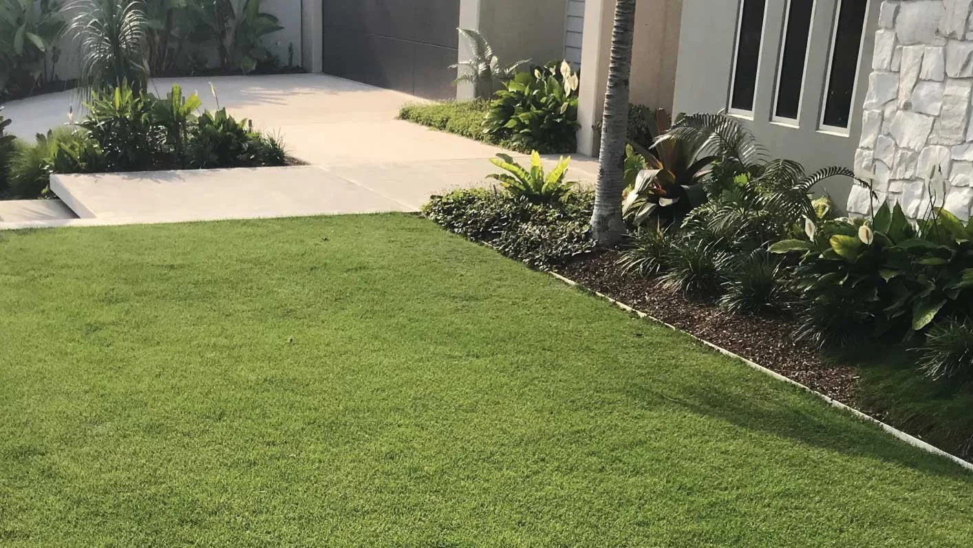 Why You Should Offer Premium Turf Varieties To Your Clients
