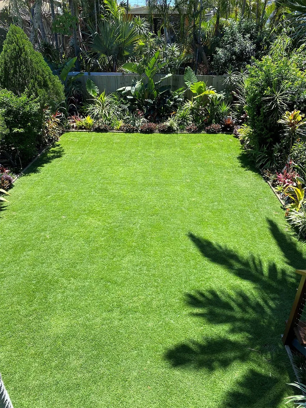 The Benefits of Zoysia Lawns for Your Home