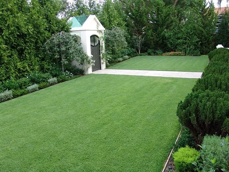 Beautiful Spring and Summer lawns are made in Winter!