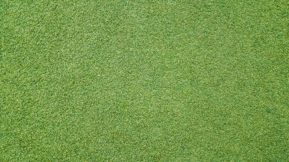 Turf Care During Different Seasons: Year-Round Tips