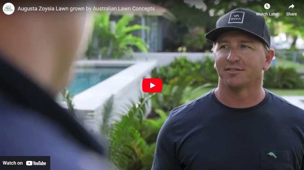 Augusta Zoysia - Top performance golf course turf for your home lawn!