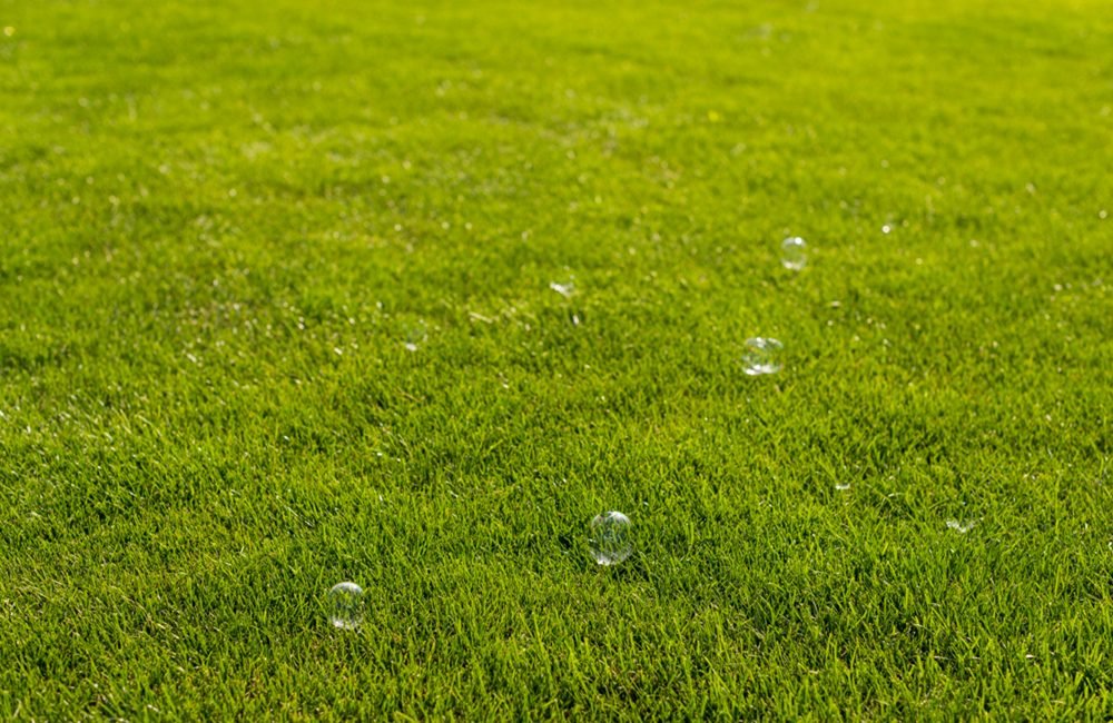 The Ultimate Guide to Maintaining IronCutter Elite Hybrid Bermudagrass