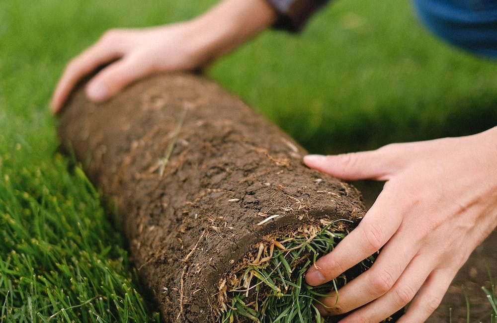 Large Turf Orders: Ensuring Quality