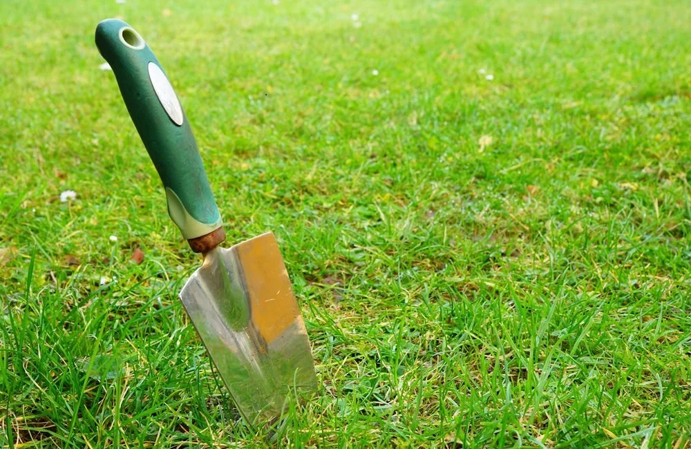 Improve Lawn Health: Protecting Turf During Extreme Heat