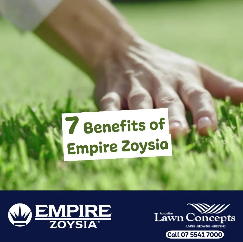 7 Benefits of Empire Zoysia lawn