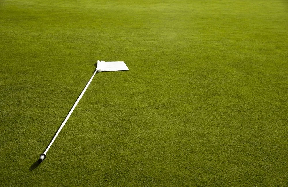 Augusta Zoysia: The Golf Course Secret Now Transforming Queensland Homes