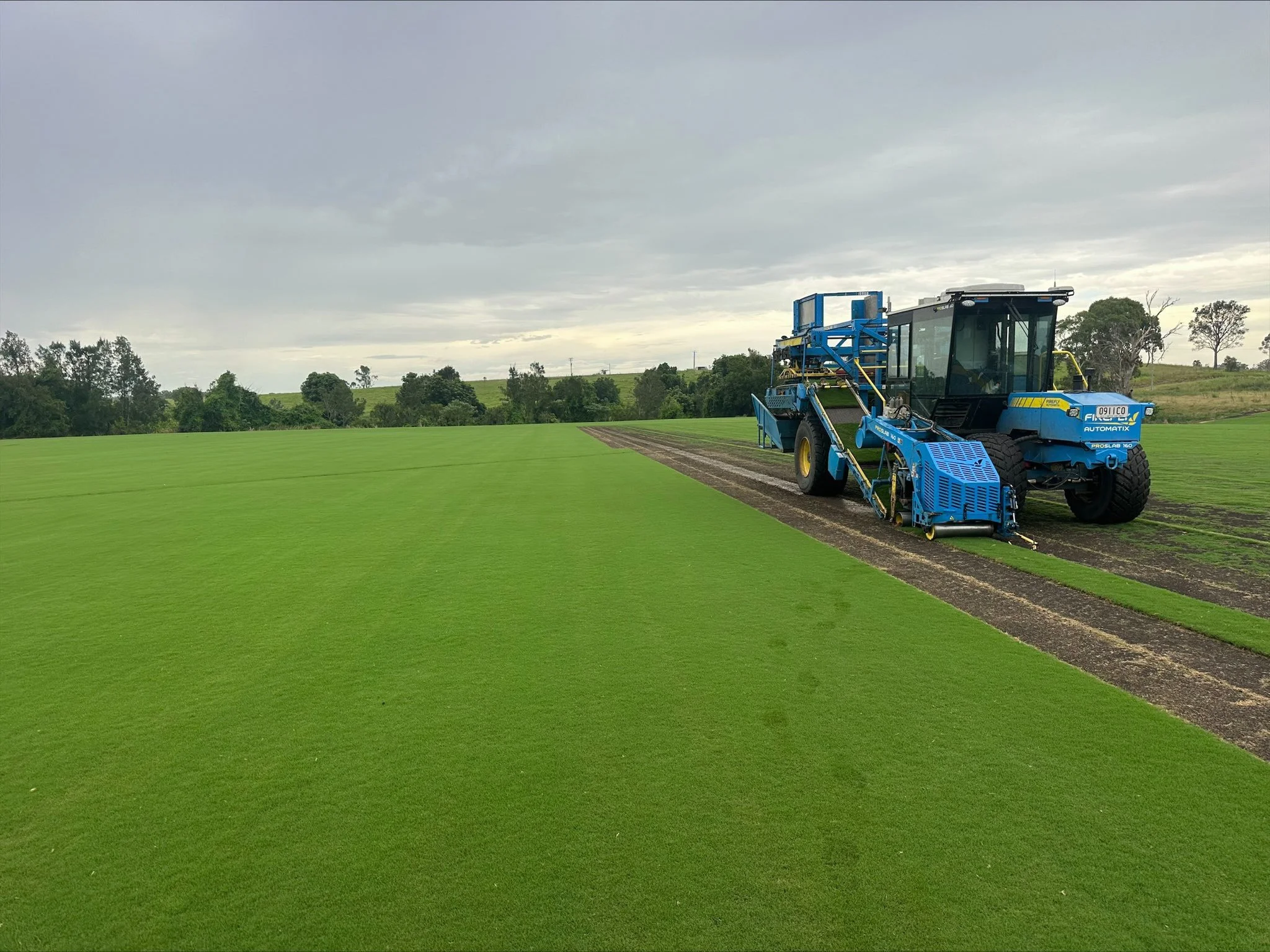 IronCutter® is the newest elite bermudagrass on the market