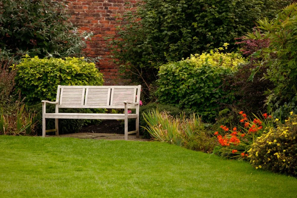 The Allure of Sir Walter Buffalo Grass for Modern Lawns