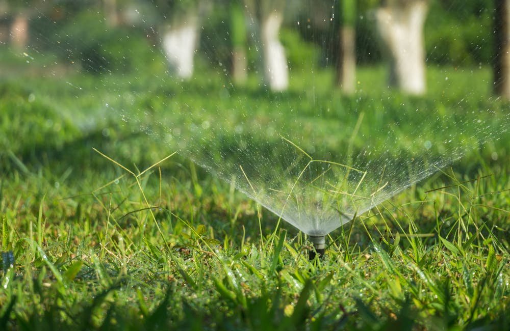 How Often to Water New Turf: Essential Tips