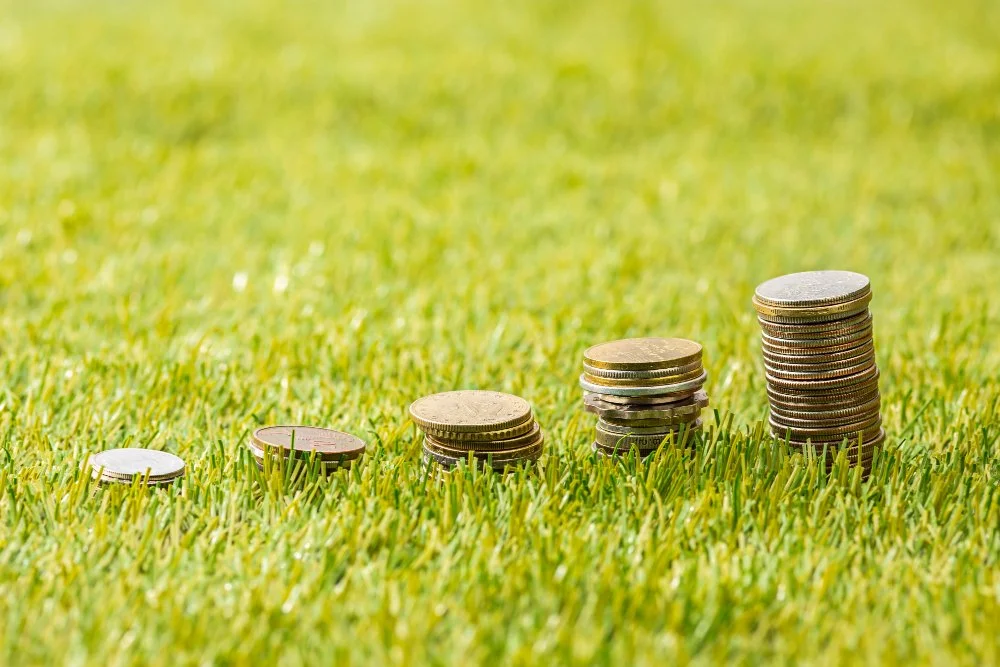 Navigating Lawn Turf Prices: What Homeowners Should Know