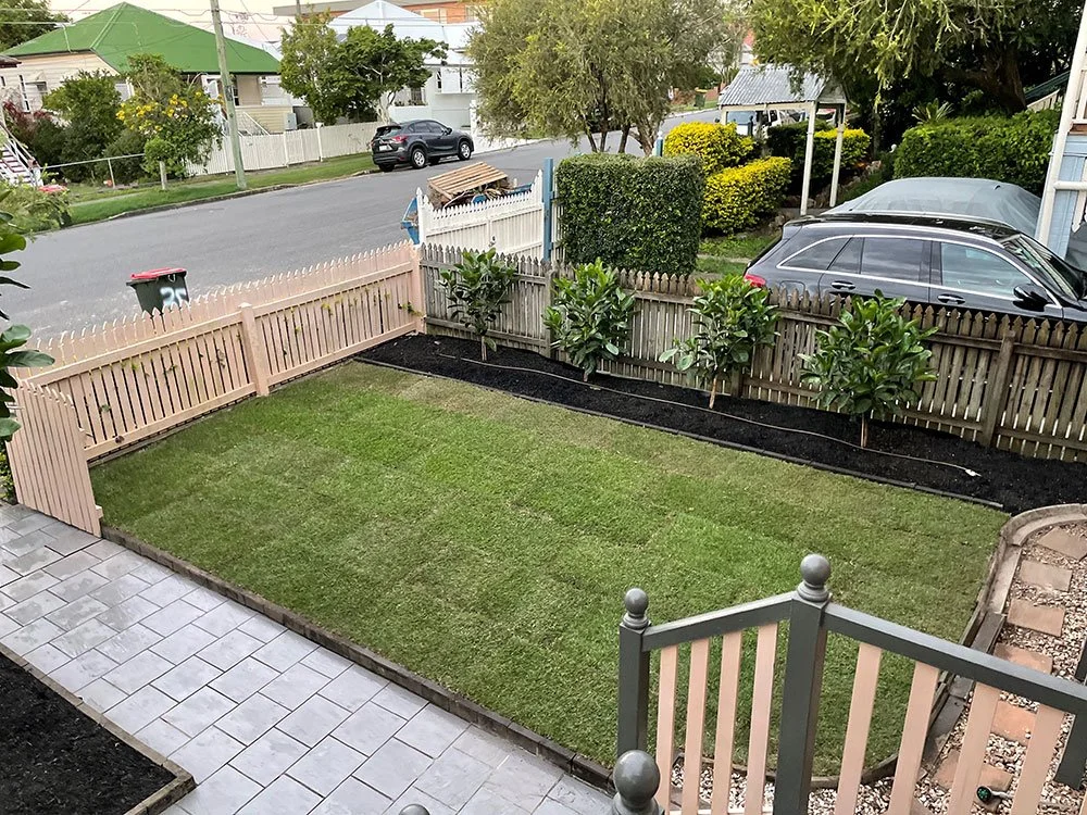 Nara Native Zoysia: Australia’s Native Turf Wonder