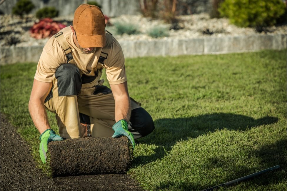 How to Lay Turf at Your Own Home