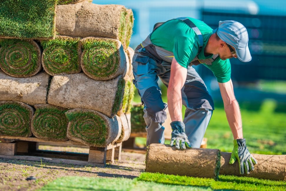 Top Grass Turf Suppliers: What Sets Them Apart