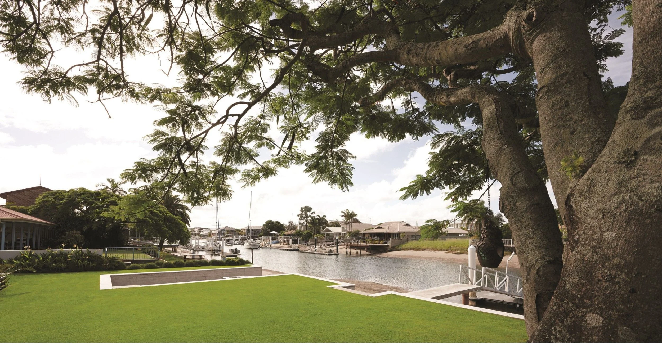 How to Plant Zoysia Grass: A Complete Guide for Australian Lawns (2026)