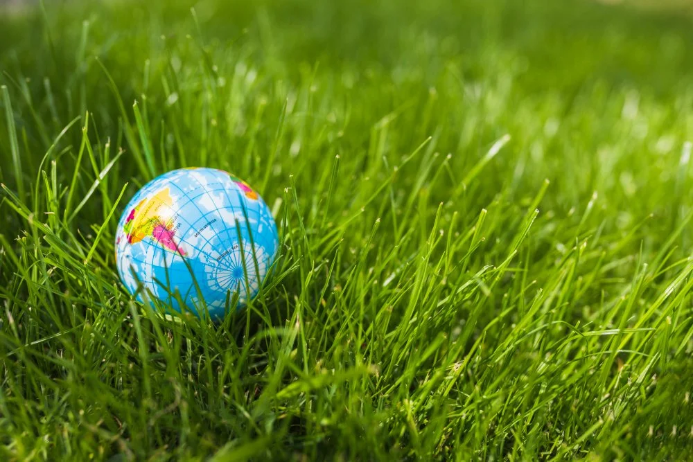 The Impact of Climate Change on Premium Turf