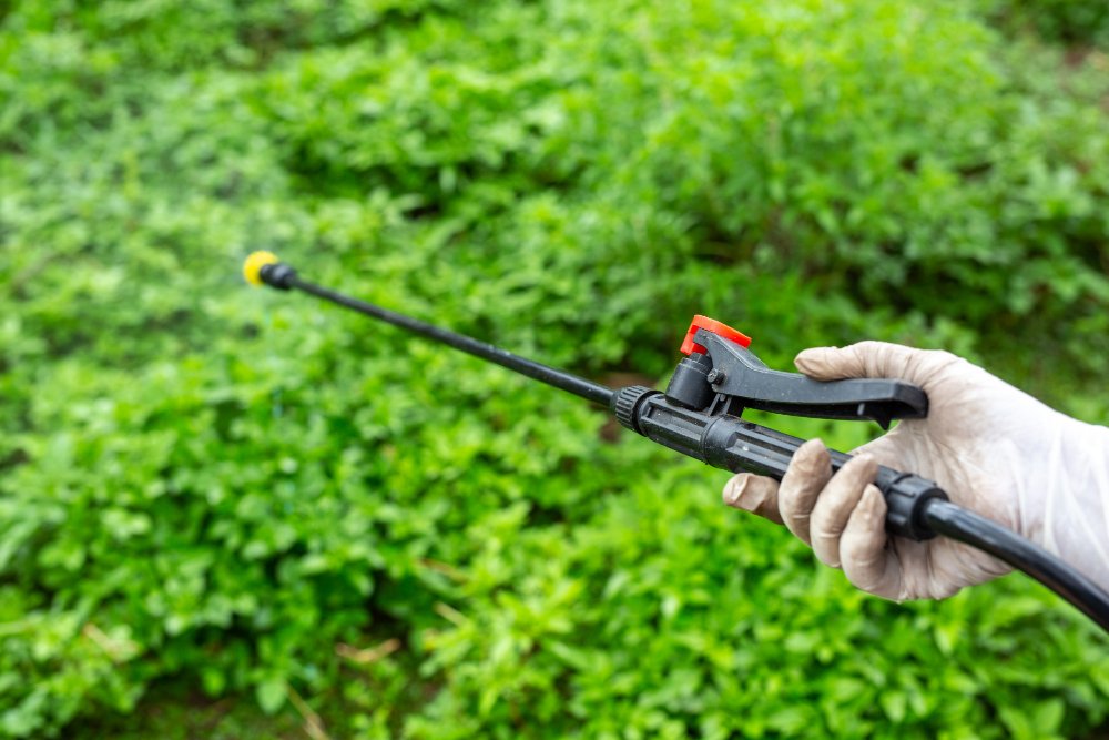 Keeping Your Grass Greener: How Lawn Pest Control Can Transform Your Landscape
