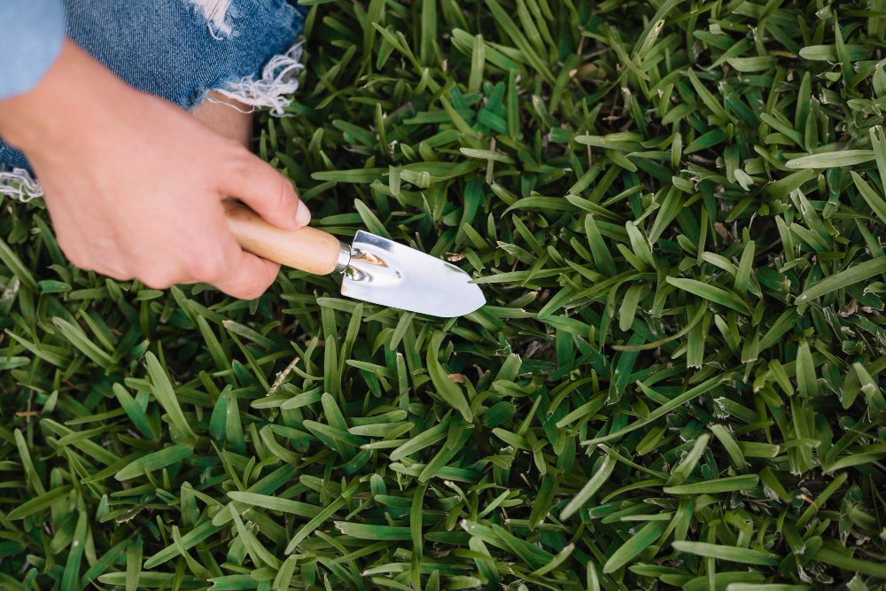 Your Guide to Buying Turf: Tips for Choosing the Perfect grass for your Lawn