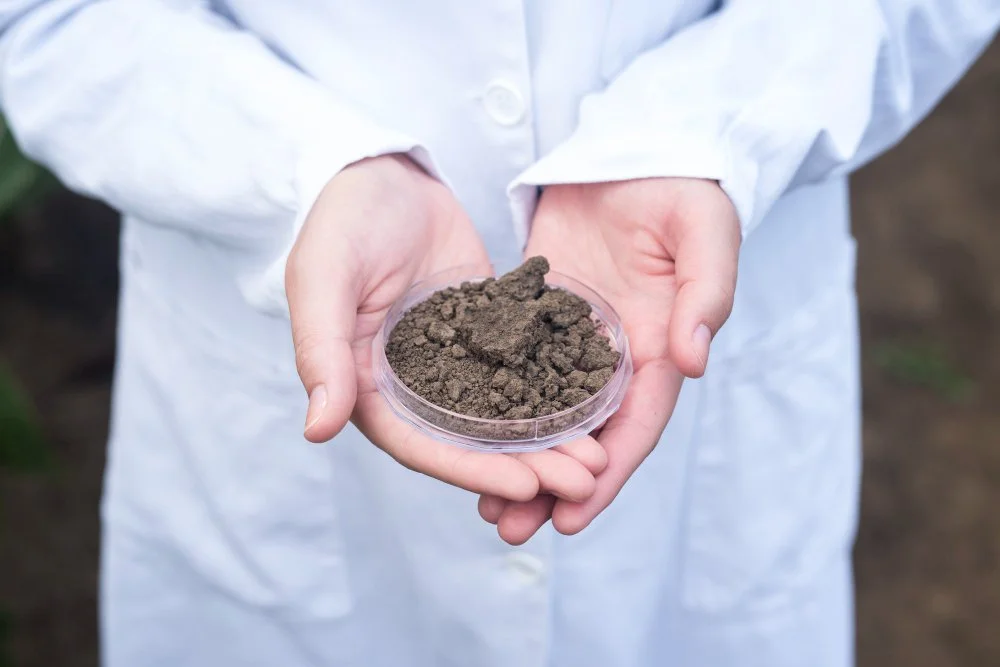 Soil Testing for Turf: The Importance and What It Means for Your Lawn