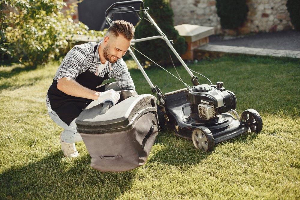 The Basics of Turf Management: What Every New Turf Owner Should Know