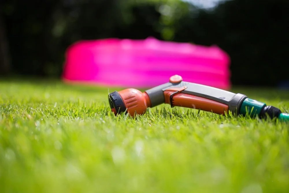How to Save Water and Keep Your Lawn Green This Summer