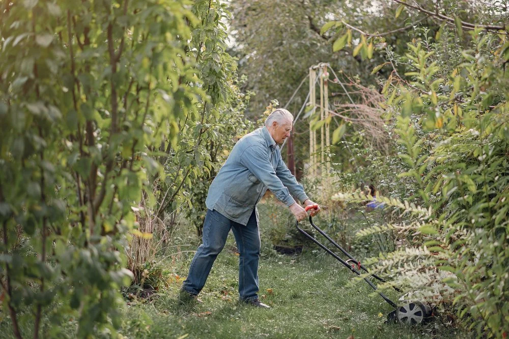 Lawn Pest Control in Autumn: How to Protect Your Grass from Seasonal Threats