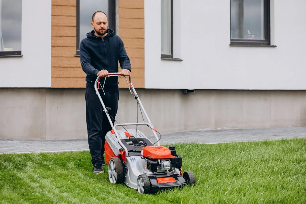 Why You Should Still Mow Your Lawn in Winter (But Less Often)