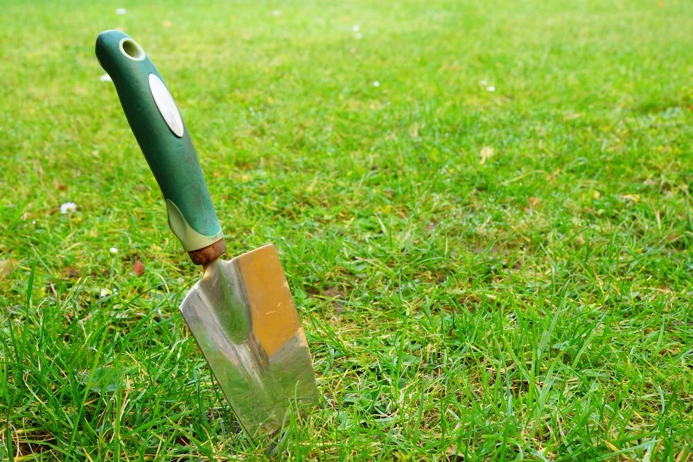Prepping Your Lawn for Spring: What You Need to Know