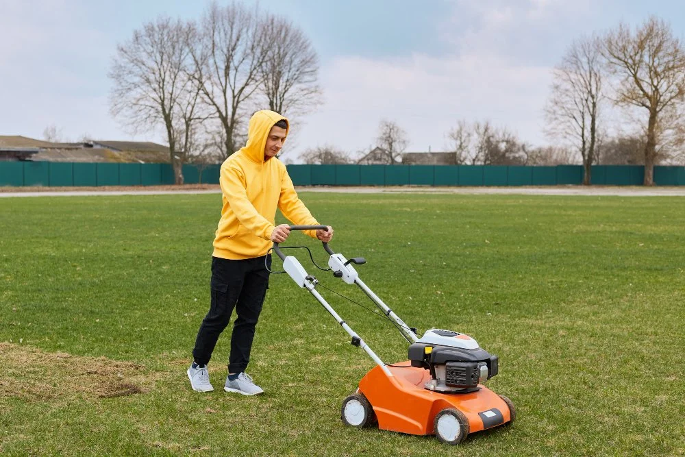 Winter to Spring Transition: When to Mow Again