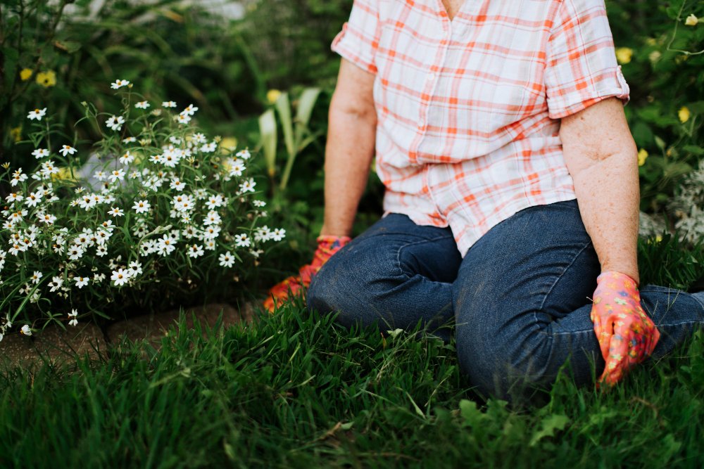 Spring Forward: The Lawn Care Secrets to a Lush Green Comeback