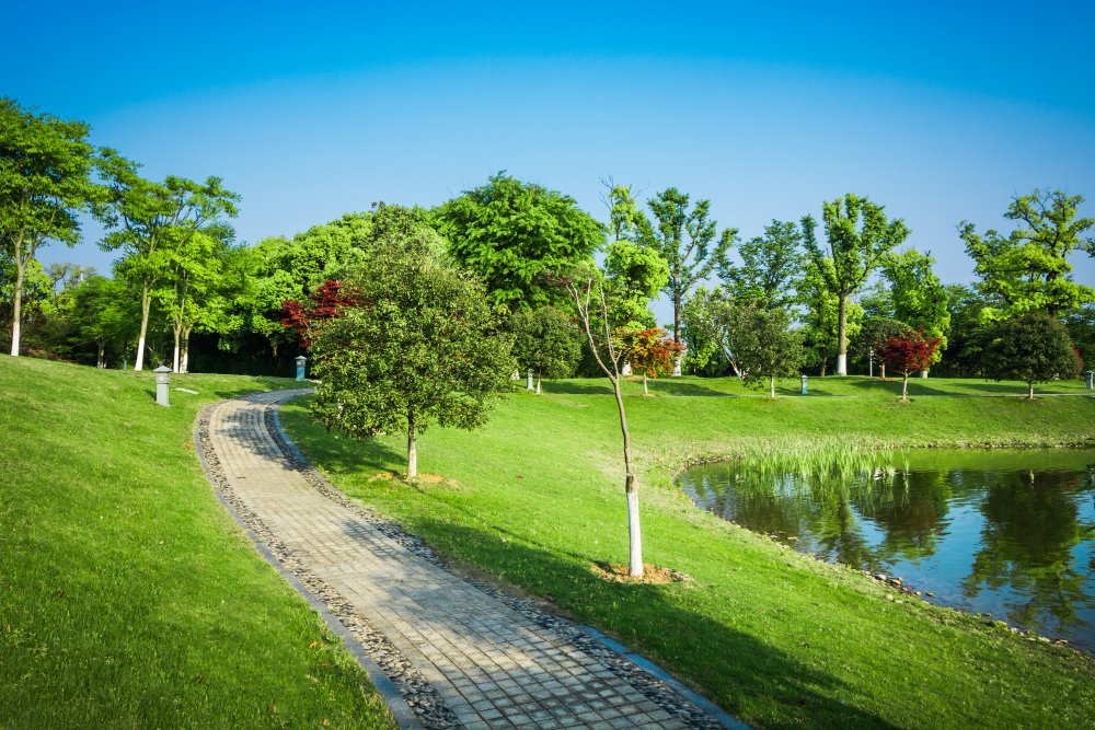 The Best Turf for Fast-Growing Spring Landscapes