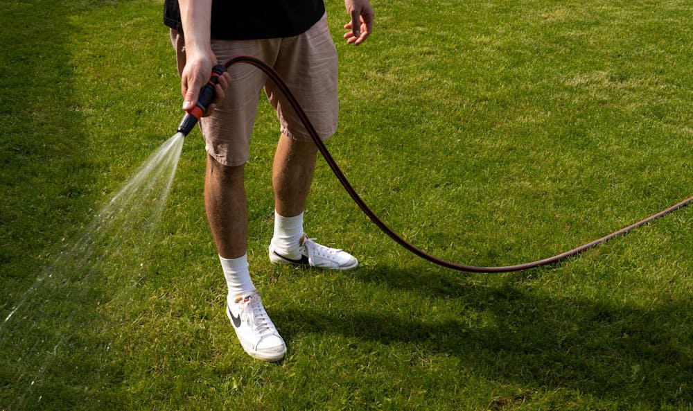 Spring Lawn Maintenance: Why Your Grass Goes Crazy (And How to Handle It)