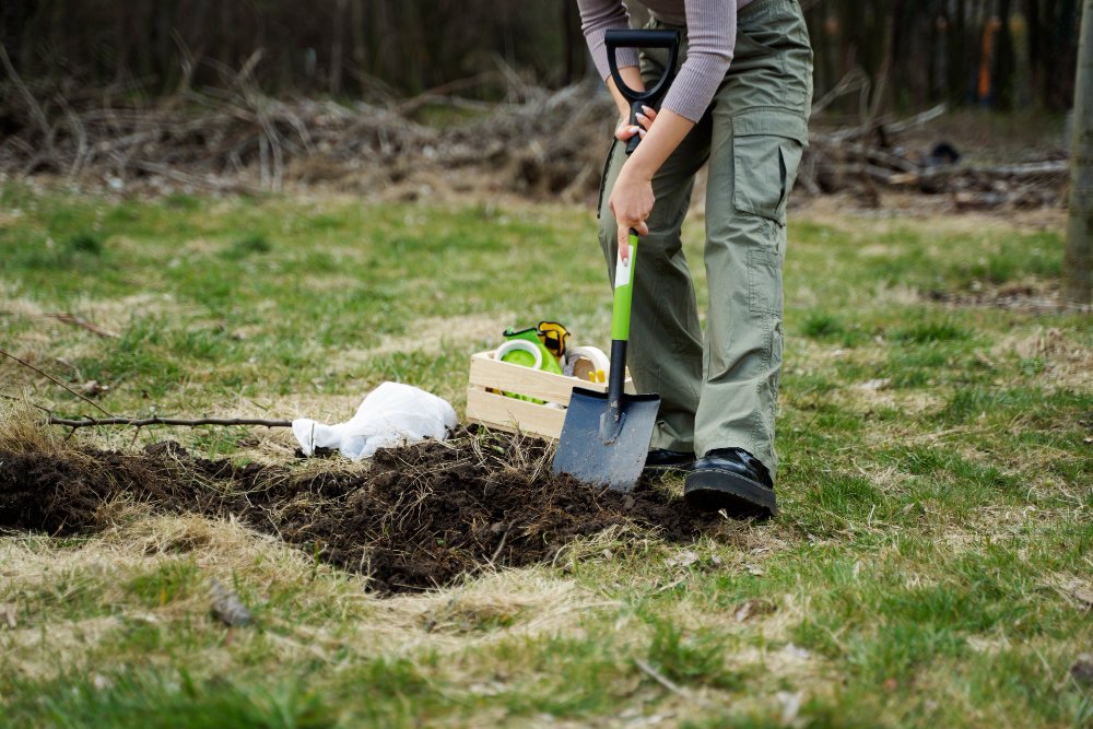 Spring Lawn Revival: How to Repair Turf After the Winter Slowdown