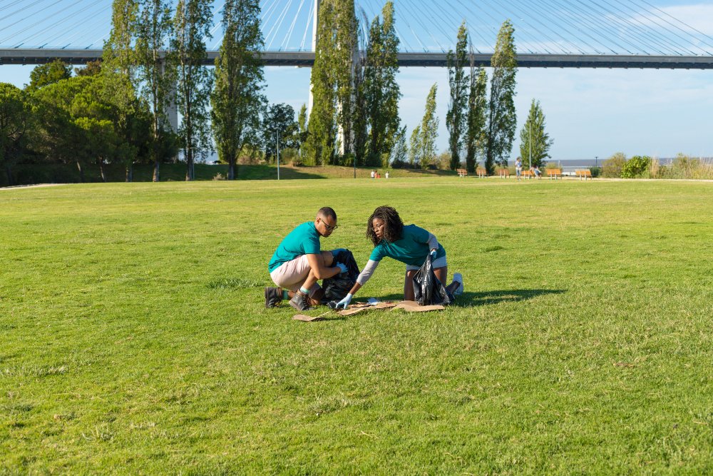 The Role of Turf in Sustainable Urban Development: Why Does Natural Turf Matter More Than Ever