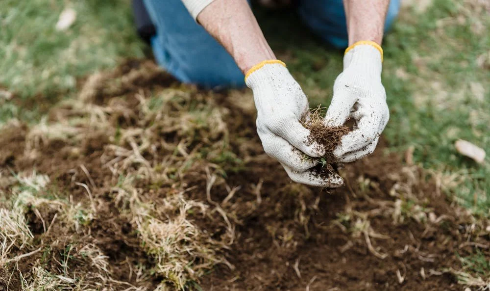 Spring Weed Control: The Do's and Don'ts for Large Green Spaces