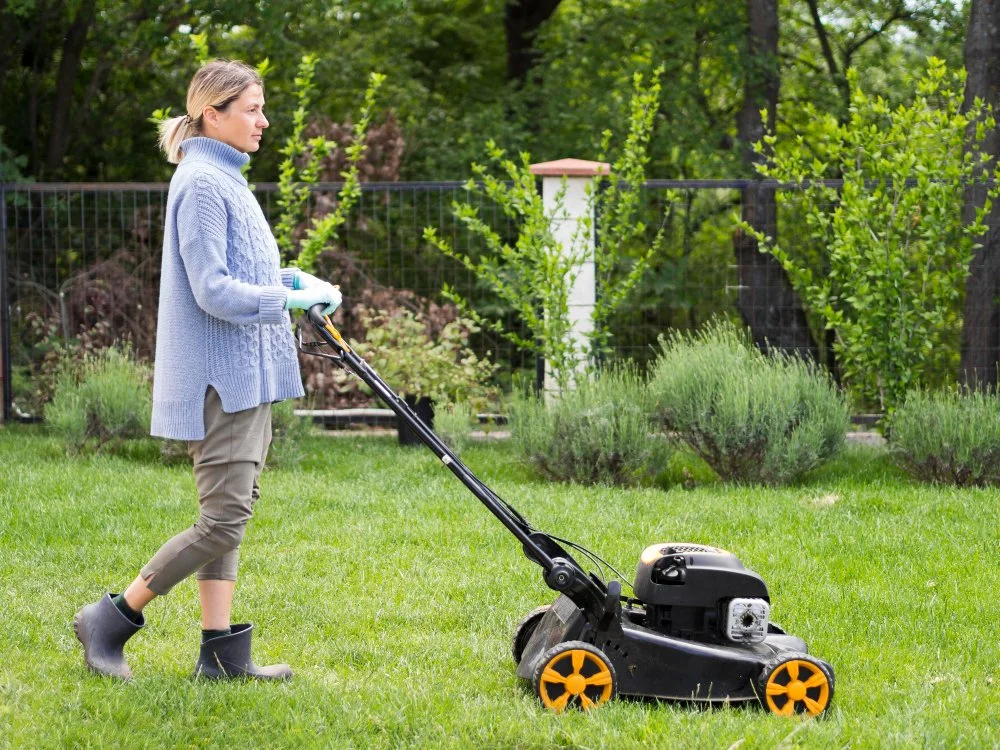How Often Should You Mow Your Lawn in Brisbane?