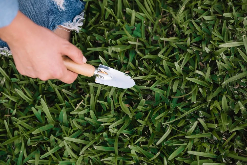 What Are the Benefits of Lawn Aeration for Brisbane Turf?