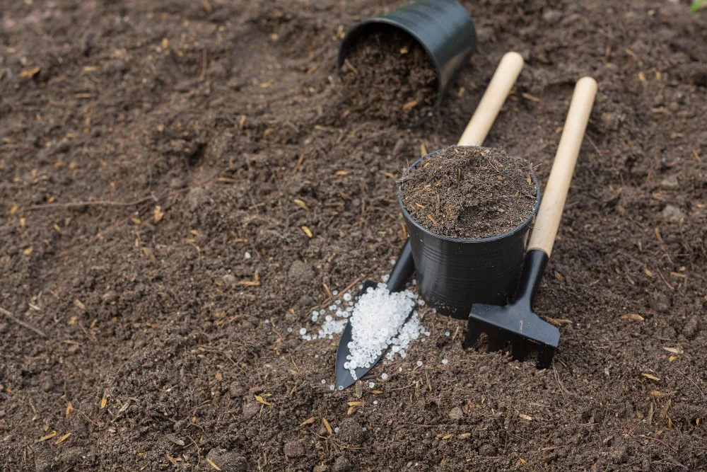 When to Fertilise Your Lawn in Brisbane: Complete Calendar