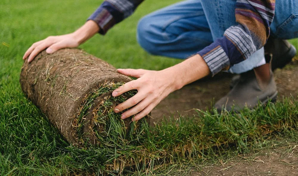 Best Time to Lay Turf in Brisbane: Season-by-Season Guide