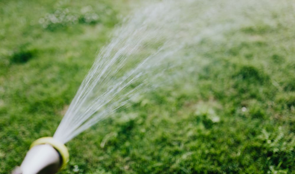 How to Fix Overwatered Lawn: Brisbane Recovery Guide