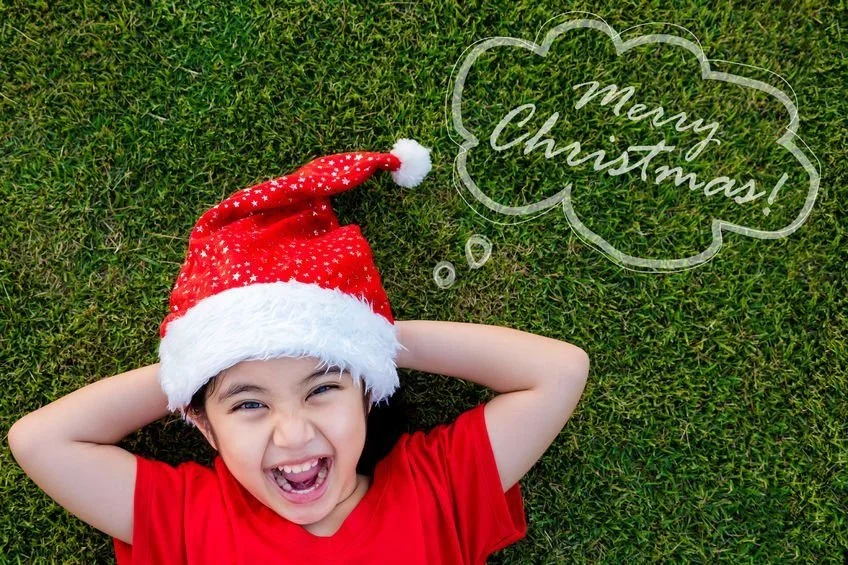New Lawn For Christmas