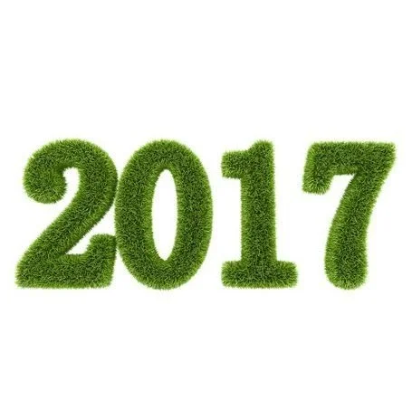 Happy New Year 2017