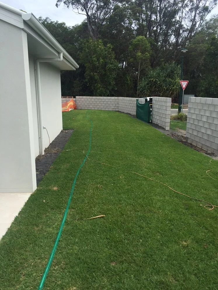 Before and after at Noosa! Sir Walter Turf doing what it does best!