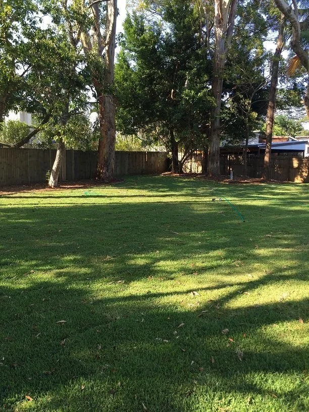 Sir Walter turf installation at Buderim before and after shots
