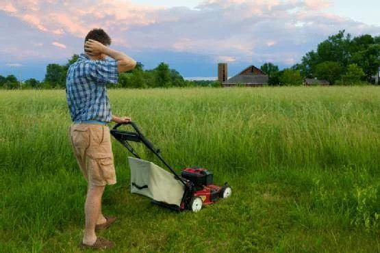 Five Common Lawn Care Mistakes
