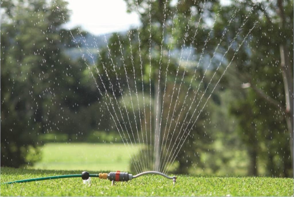 Watering Buffalo Grass